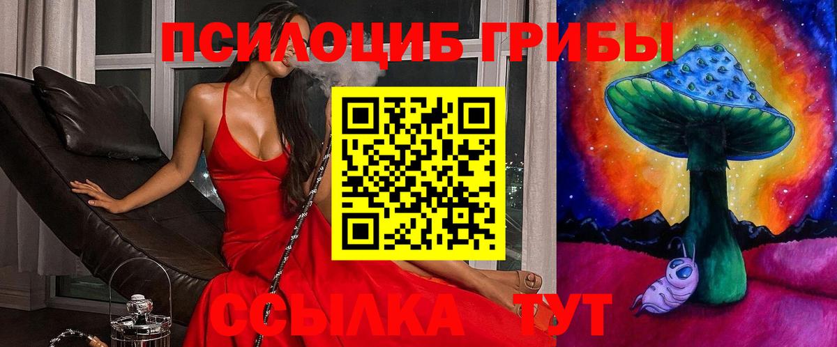 Арсеньев  Галлюциногенные грибы Psilocybe  Вход с VPN 